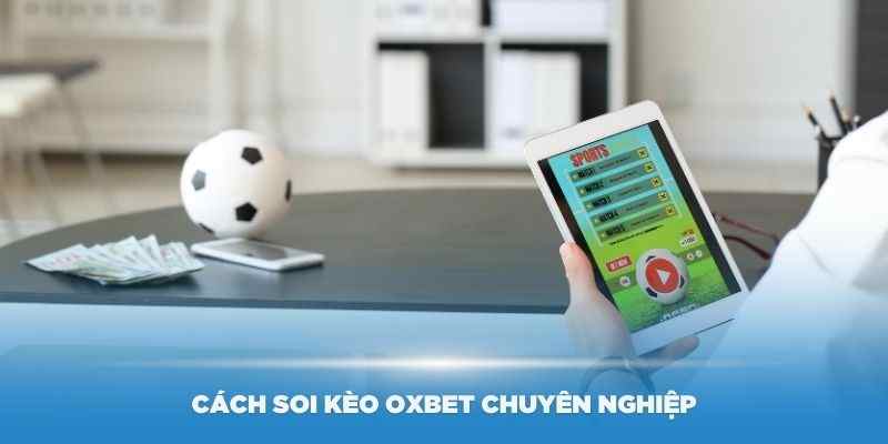 Hướng dẫn cách soi kèo Oxbet chuyên nghiệp nhất