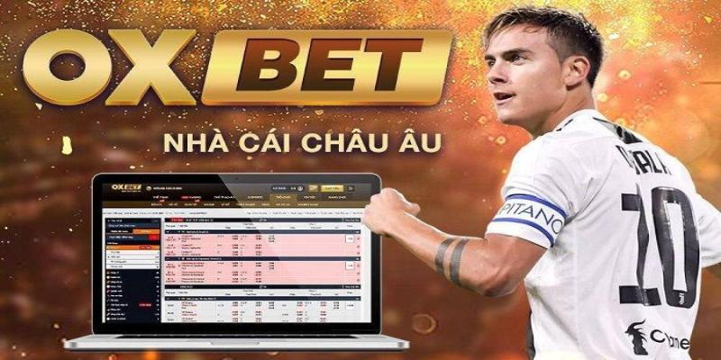 Có nhiều câu hỏi thường gặp về tính pháp lý của Oxbet