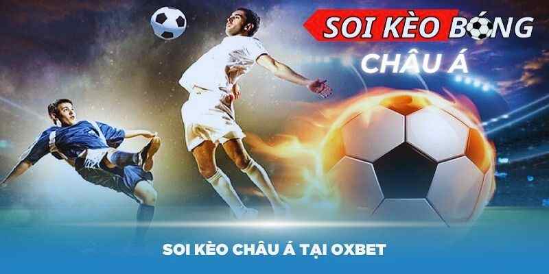 Soi kèo châu Á tại OXbet